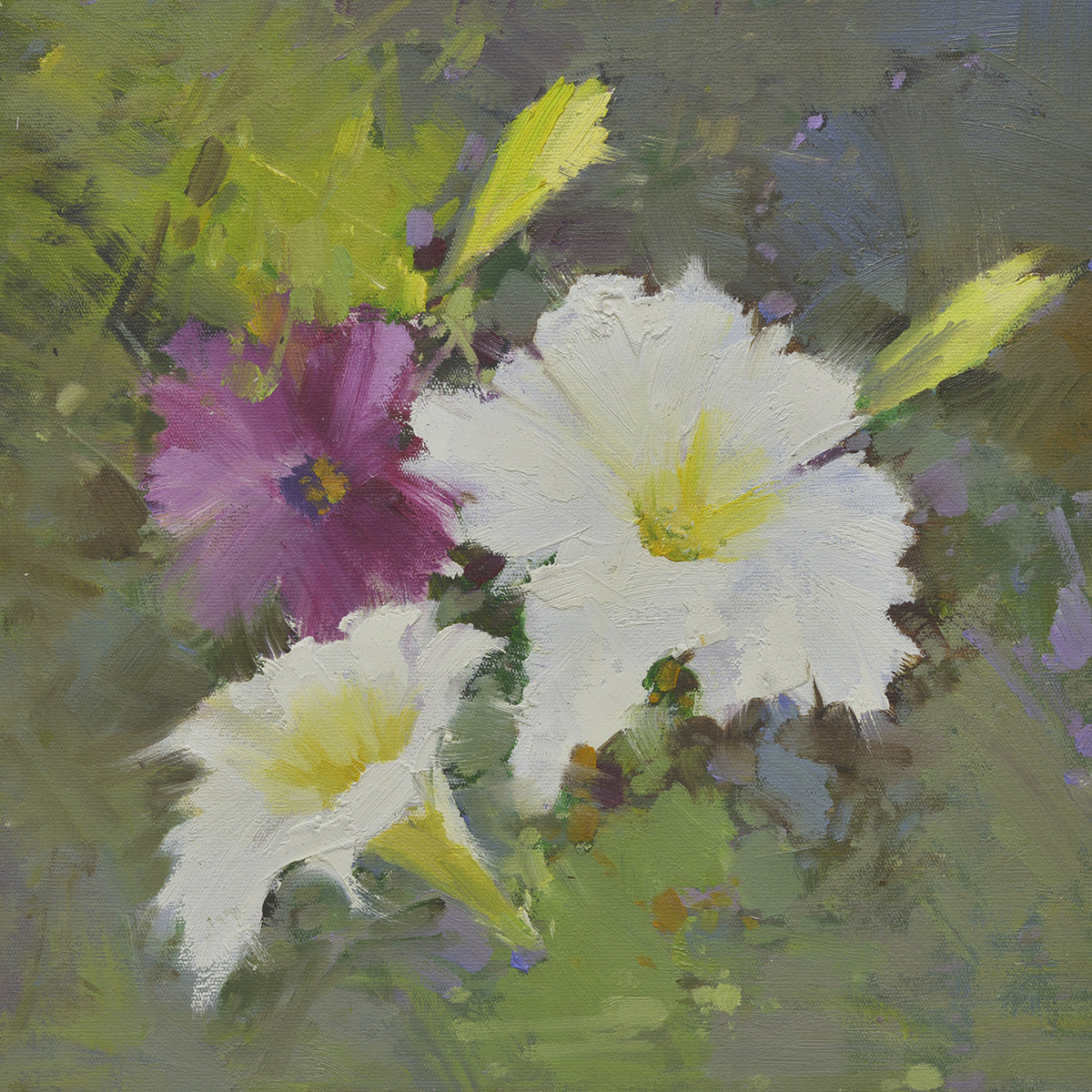 16x16 oil painting of petunia flowers white and purple 22010507 image 0