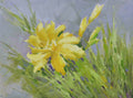 12x16 oil painting on canvas of yellow daylily flowers 22010523 image 0