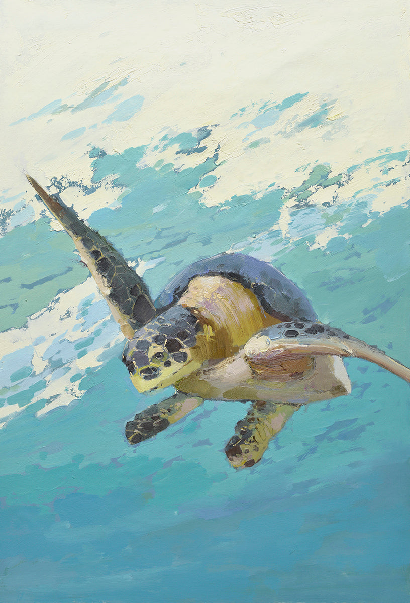 24x36 oil painting of Turtle on canvas 42071005 image 0