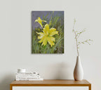 12x16 oil painting on canvas of yellow daylily flowers 22010553 image 1