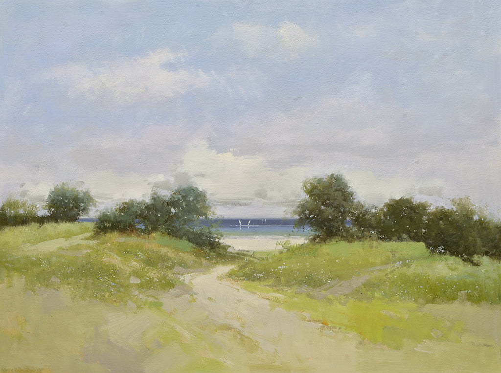 Giclee on canvas- Ocean view with pathway 72071031G image 0